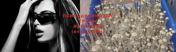 соль ск Вяземский