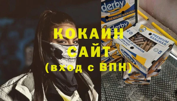 соль ск Вяземский