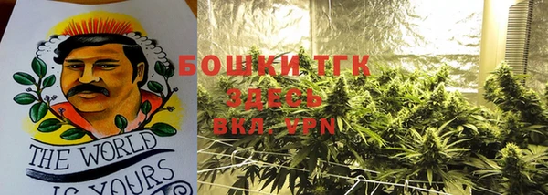 соль ск Вяземский