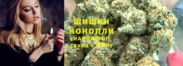 соль ск Вяземский