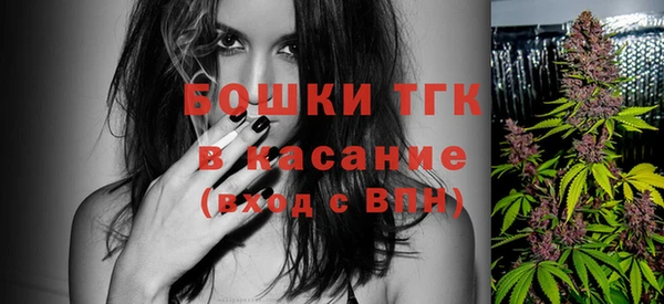 сатива Володарск