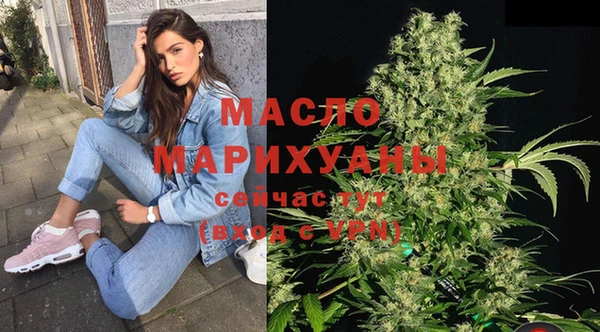 соль ск Вяземский