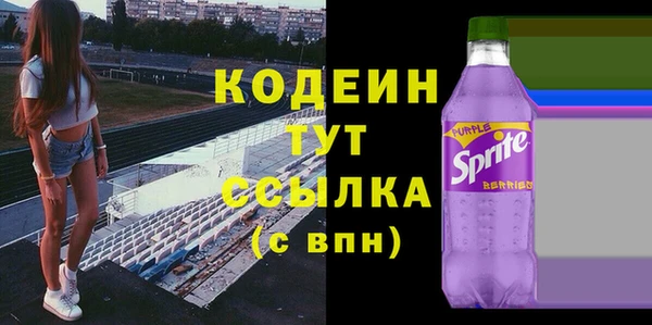 соль ск Вяземский