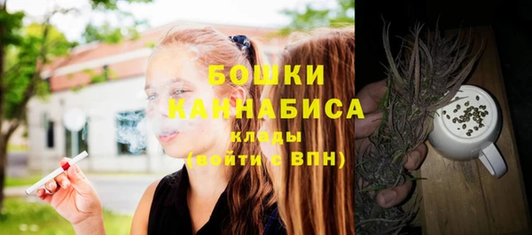 соль ск Вяземский