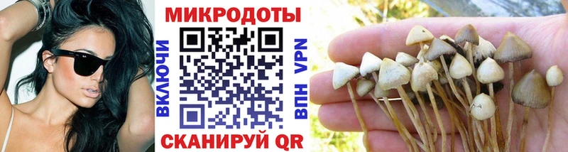 Псилоцибиновые грибы Psilocybine cubensis купить наркотик Каспийск